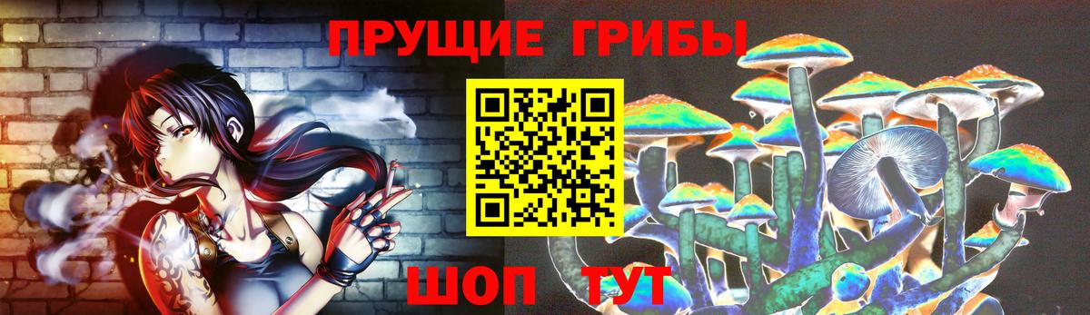 Галлюциногенные грибы Magic Shrooms  Вход с VPN  Бахчисарай  Галлюциногенные грибы прущие грибы 