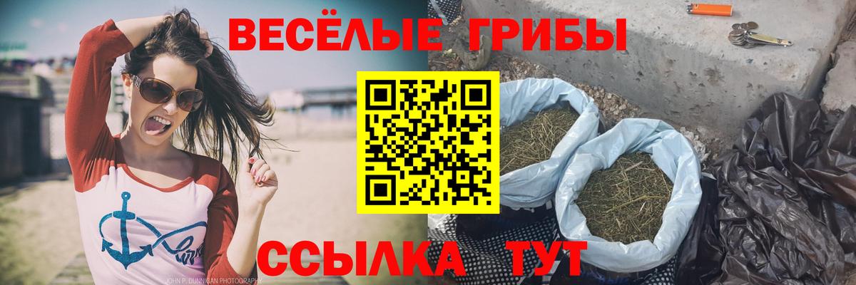 Галлюциногенные грибы ЛСД Бахчисарай